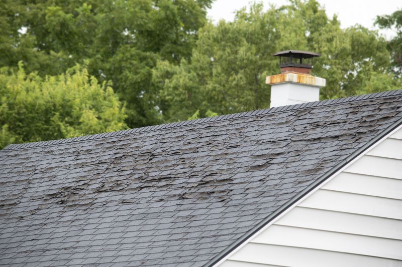 Hail Damage Roof Repair detail